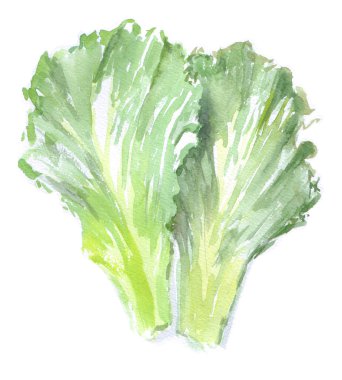 Sulu Boya yeşil salata