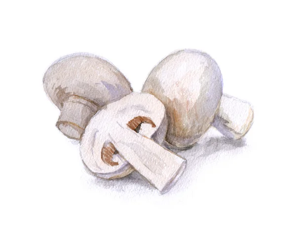 Watercolor mushrooms — Stock Photo, Image