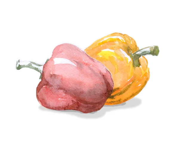 Watercolor peppers — Stock Photo, Image