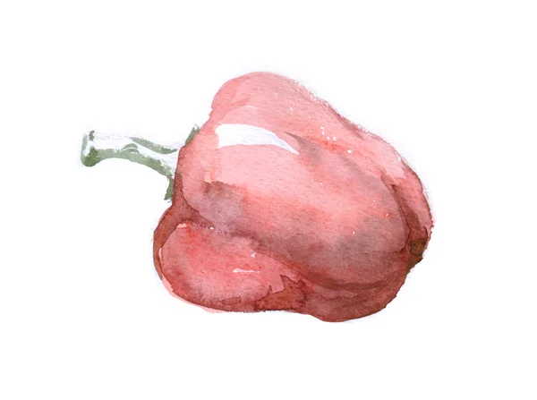 Watercolor pepper — Stock Photo, Image
