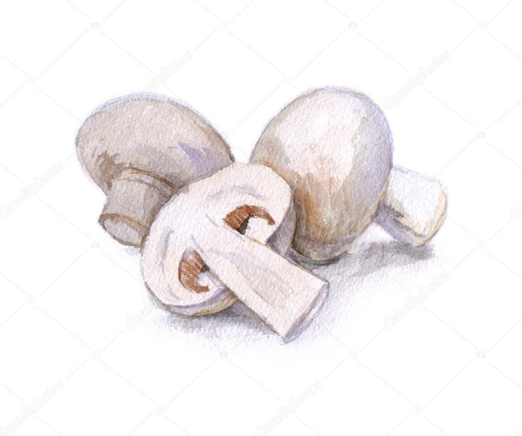 watercolor mushrooms