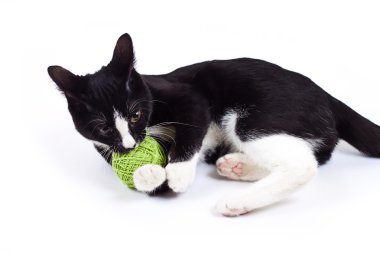 Kara kedi bir topla oynamayı