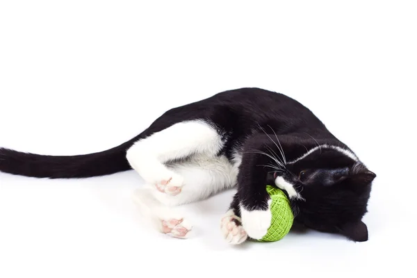 Svart katt leker med en boll — Stockfoto