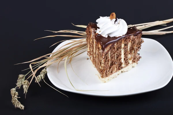 Zdobione ciasto czekoladowe — Zdjęcie stockowe