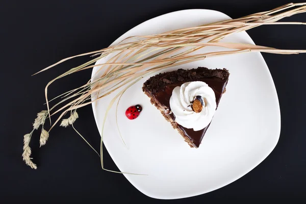 Díszített csokoládé torta — Stock Fotó