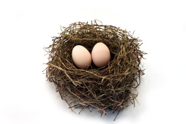 bir yuvada iki kırsal yumurta