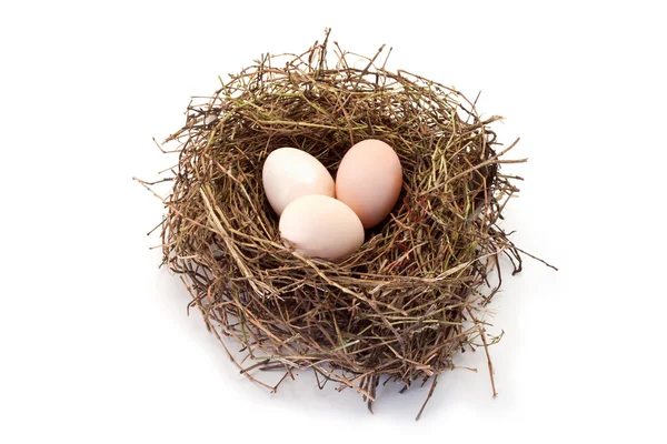 Tres huevos rurales en un nido —  Fotos de Stock