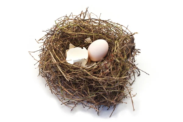 Trois œufs ruraux dans un nid — Photo