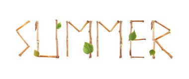 나뭇가지의 단어 여름