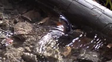 Yavaş çekim girdabı. Girdap, nehirde yatan bagajın altındaki suyu boşaltır..