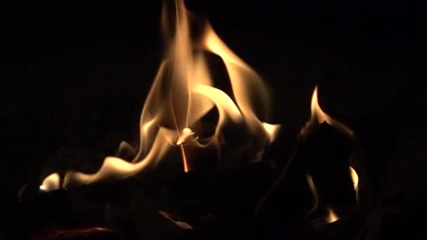 그라운드 나무로 통나무를 태우면서 느리게 — 비디오