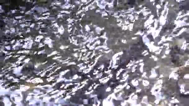 Фон Замедленного Движения Воды Реке Солнце Вспыхивает Текущей Воде — стоковое видео