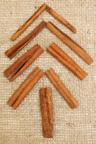 Tree from natural cinnamon — Stock Photo, Image