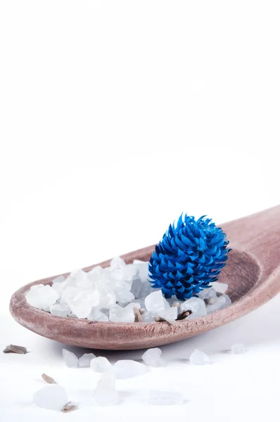 Sea salt — Stock Photo, Image