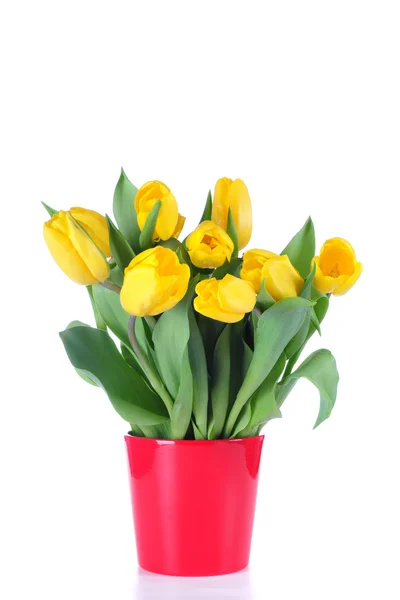 Bouquet from yellow tulips — Stock Photo, Image