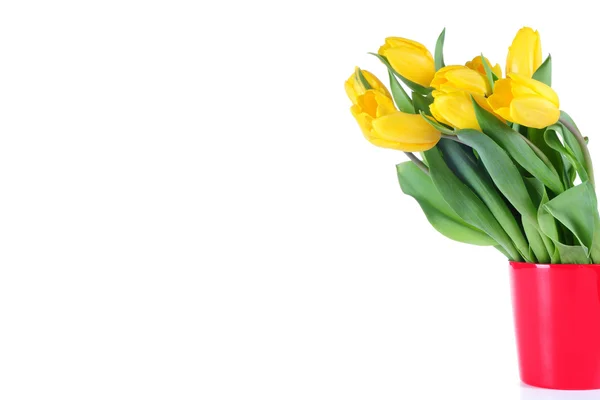 Bouquet from yellow tulips — Stock Photo, Image