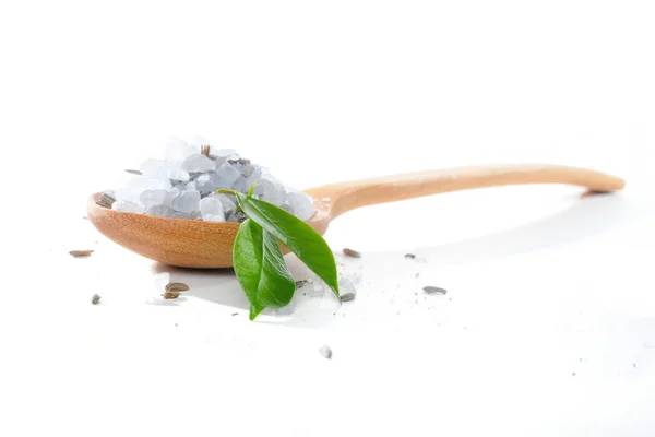 Sea salt — Stock Photo, Image