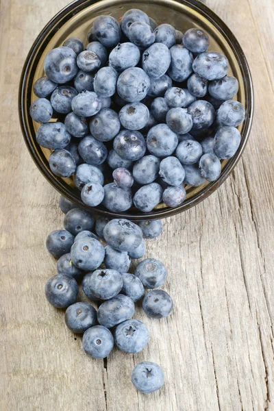 Fresh bilberries — Stock Photo, Image