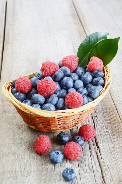 Fresh bilberries — Stock Photo, Image