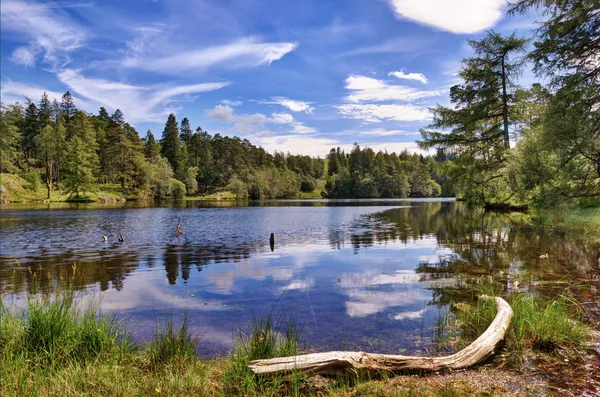 Tarn Hows — Stok fotoğraf