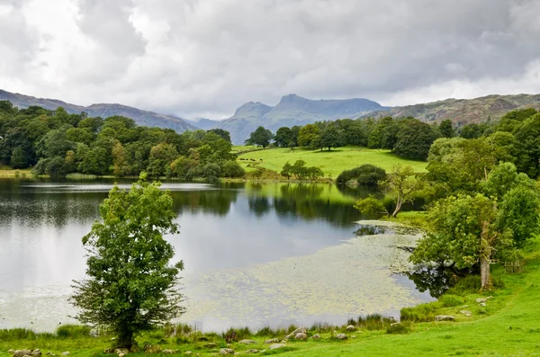 Loughrigg tarn a langdale pikes — Stock fotografie