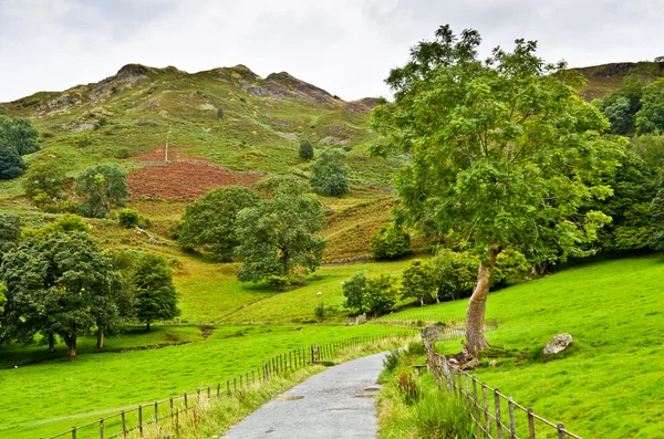 Voie sous Loughrigg Fell — Photo