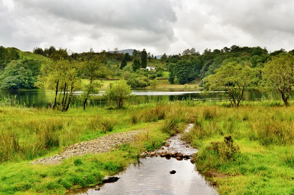 Pequeño arroyo que corre hacia un lago pacífico — Foto de Stock