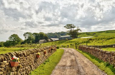 Country lane bordered by stone walls and fields. clipart