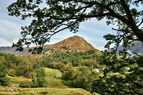 Vista de Helm Crag, enmarcado dentro de ramas frondosas —  Fotos de Stock