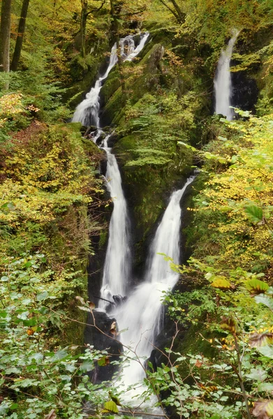 Lager ghyll kraft, ambleside, cumbria. — Stockfoto