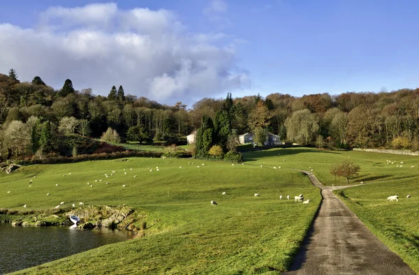 Casa en medio de árboles en el Valle Winster, Cumbria — Foto de Stock