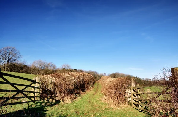Hedge alinhado pista país com portões — Fotografia de Stock