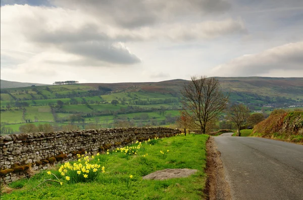 Country lane in the Yorkshire Dales — Stock Photo, Image