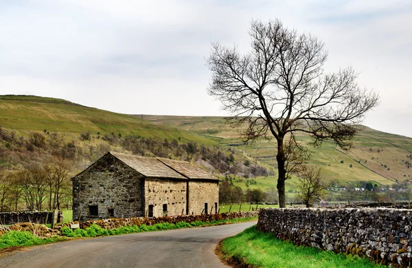 Stodoła i drzewa w yorkshire dales — Zdjęcie stockowe