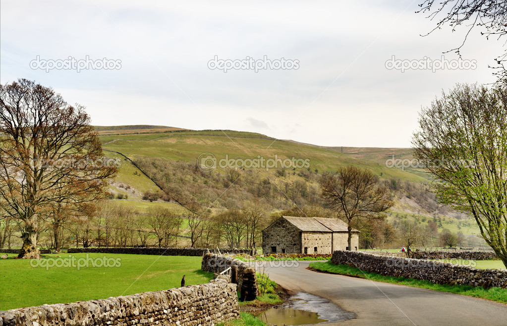 Country lane and barn in the Yorkshire Dales