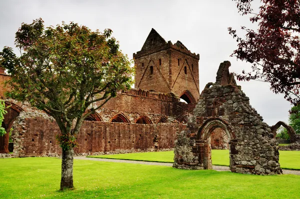 View of Sweetheart Abbey, Dumfries and Galloway — Stock Photo, Image
