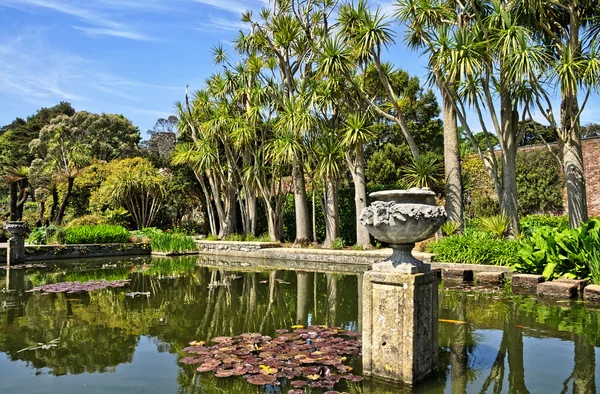 Estanque y árboles en Logan Botanic Gardens — Foto de Stock