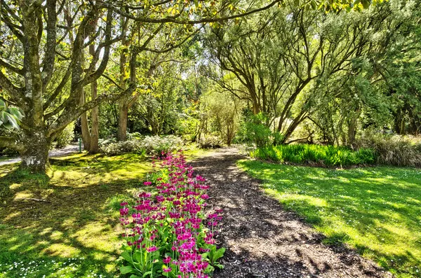 Bosques em Logan Botanic Gardens Imagens De Bancos De Imagens Sem Royalties