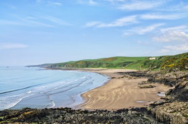 dumfries and Galloway'deki/daki defne killantringan