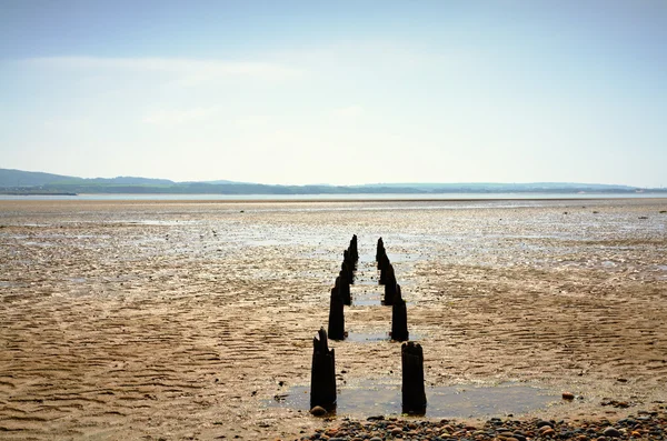 Double row of wooden posts near Millom — Stock Photo, Image