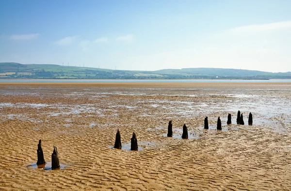 Parallel wooden posts in Morecambe Bay — Stock Photo, Image