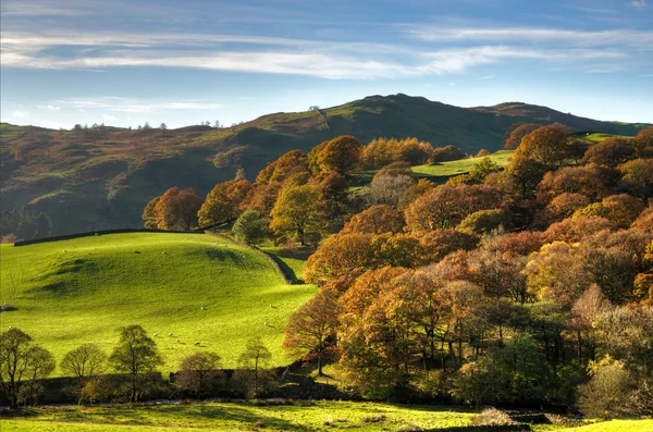 Scena rurale inglese con colori autunnali — Foto Stock