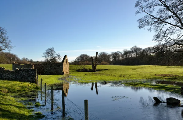 Ruined barn in a flooded field — Stock Photo, Image