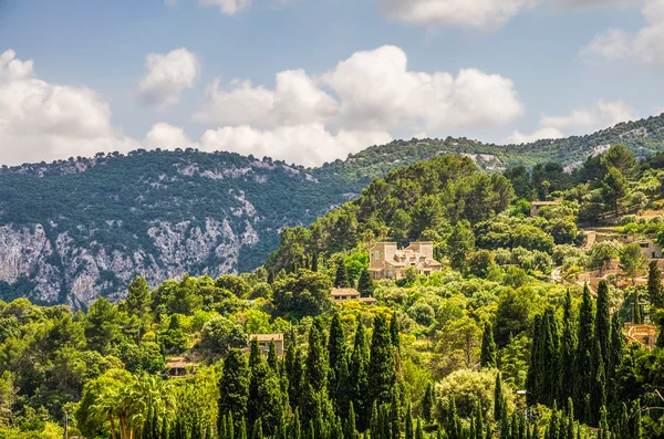 Platteland landschap van Mallorca — Stockfoto