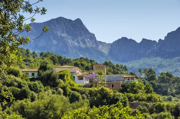 Campo cerca de Sóller — Foto de Stock