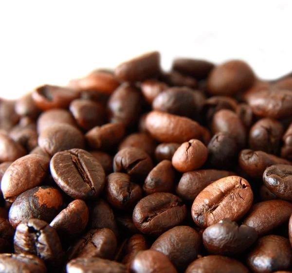 Coffee beans — Stock Photo, Image