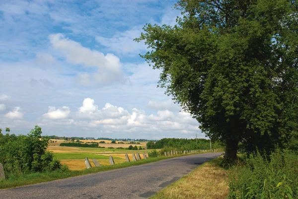 Estrada céu campo e árvore — Fotografia de Stock