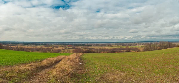 Campo - Início da primavera — Fotografia de Stock