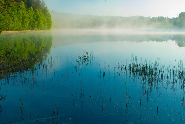 Morning lake — Stockfoto