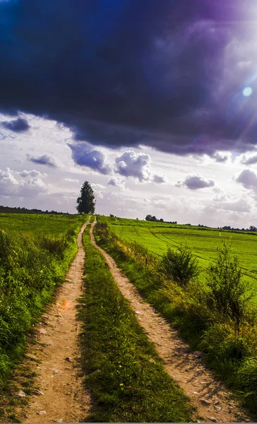 Feldweg — Stockfoto